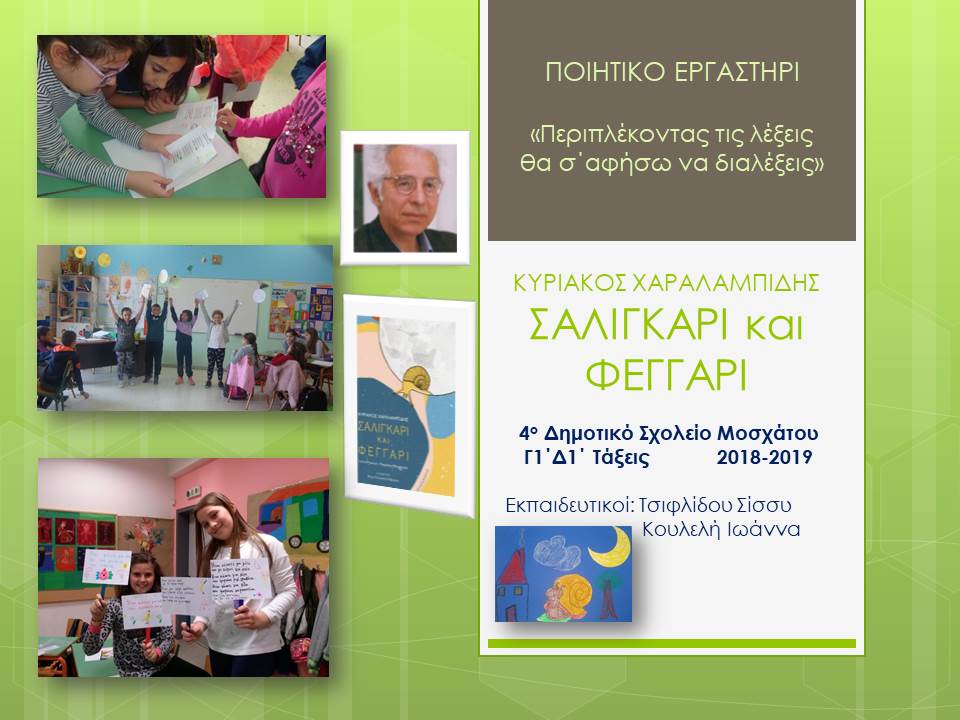 saligarikaifeggari009