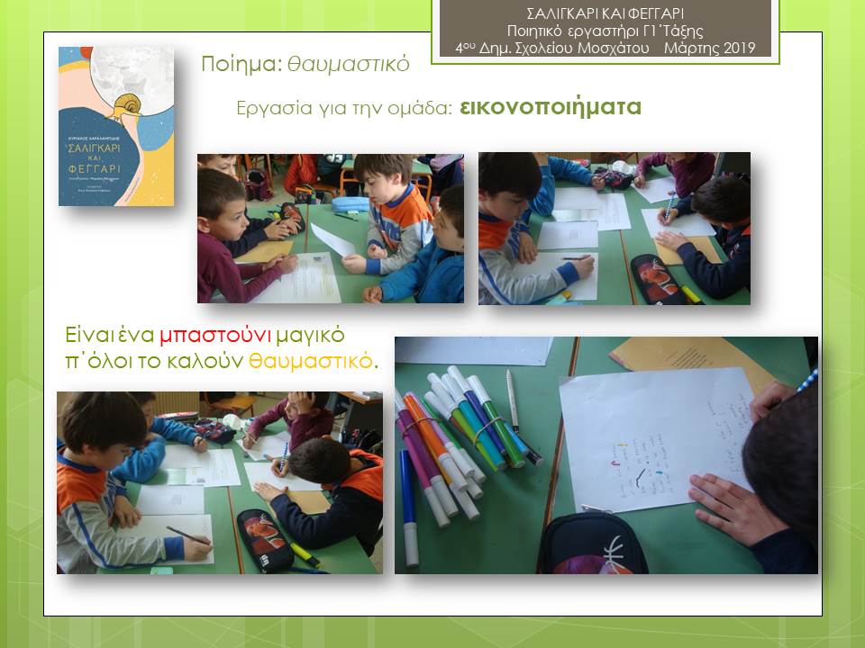 saligarikaifeggari018